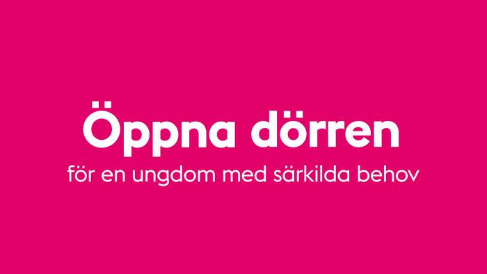 Handledare berättar om sina erfarenheter av att ta emot en ungdom med särskilda behov