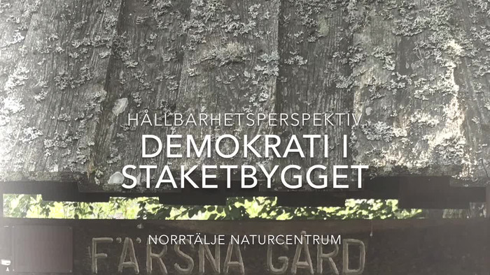 Demokrati Vid Staketbygget