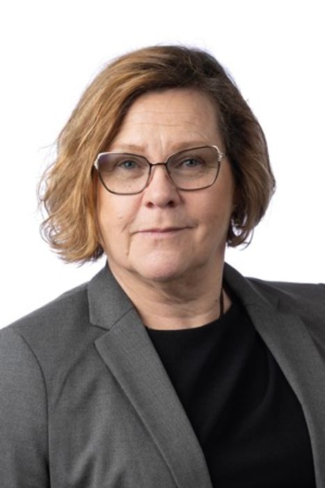 Bild på Britt Mari Canhasi