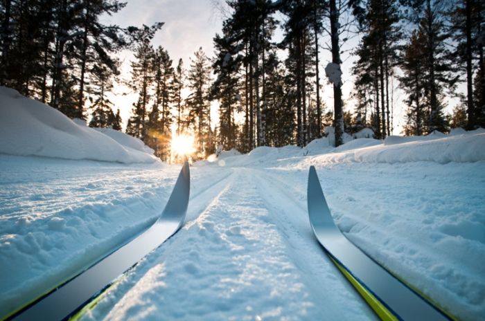 skog