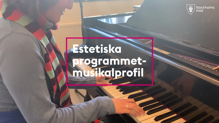 Elever från estetiska programmet, inriktning musikal berättar om skolan